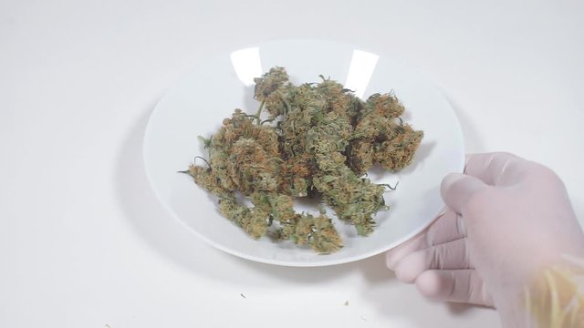 synthetic marijuana, cannabis substitute, spice
