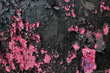 Cabanes ostréicoles.