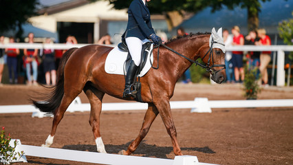 Horse (dressage horse) with rider on a horse show during a dressage competition..