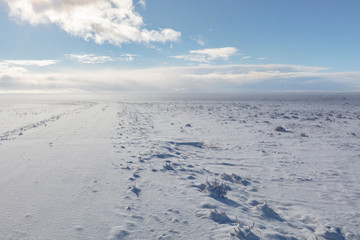 Frozen Tundra West Desert