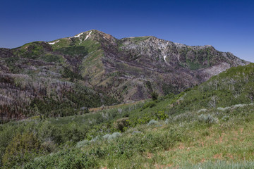Nebo Scenic Loop with burn scars