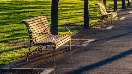 An empty diagonal park bench in the late afternoon sunset light.