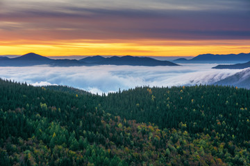 Naklejka na ściany i meble A beautiful autumn dawn in the Ukrainian Carpathian Mountains, with fogs in the valleys and forests, and yellow-red trees.
