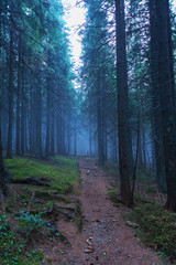 A beautiful autumn dawn in the Ukrainian Carpathian Mountains, with fogs in the valleys and forests, and yellow-red trees.