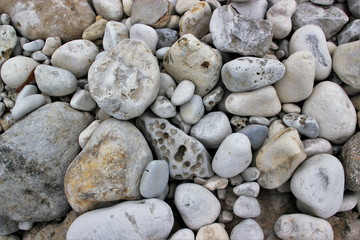 Au bord de  l'Océan.