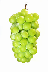 白背景のシャインマスカット