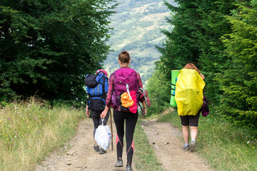 three unrecognizable female hikers on the mountain trail in the spruce forest, with a pocket of...