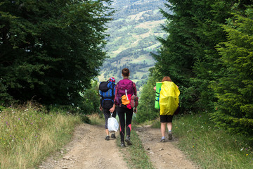 Obraz premium three unrecognizable female hikers on the mountain trail in the spruce forest, with a pocket of garbage