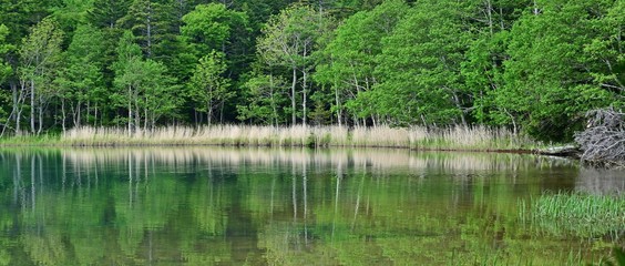 遊歩道から見るオンネトー湖の情景＠北海道