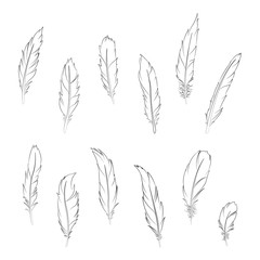 Feathers line art vector set, different simple feather clip art.