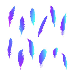 Feathers silhouette holographic vector set, different simple feather clip art.