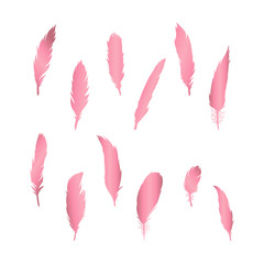 Feathers silhouette rose gold vector set, different simple feather clip art.