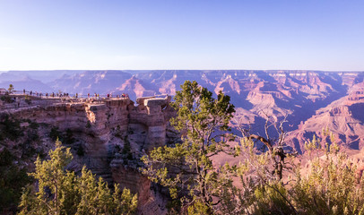 Looking pass the beautiful trees on the rim and into the depths of the glorious Grand Canyon at the south rim is inspirational thinking about the geology and years it has taken this scenic wonder to f