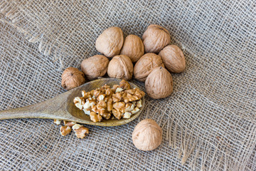 On burlap, peeled walnuts peeled on a wooden spoon.