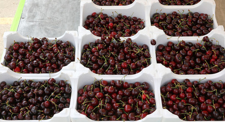 Fruit market and many trays of ripe cherries