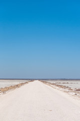 An overview of the empty space of the Etosha salt pan, Ethosha National Park, Namibia.