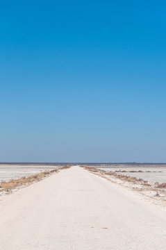 An overview of the empty space of the Etosha salt pan, Ethosha National Park, Namibia.