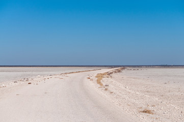 Fototapeta na wymiar An overview of the empty space of the Etosha salt pan, Ethosha National Park, Namibia.
