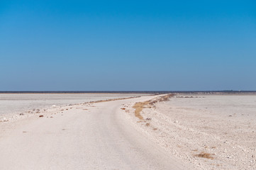 An overview of the empty space of the Etosha salt pan, Ethosha National Park, Namibia.