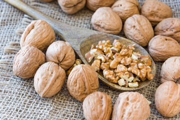 On burlap, peeled walnuts peeled on a wooden spoon.