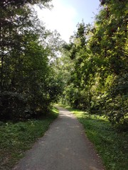 path in the park