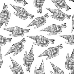 seamless pattern Turrid Vetigastropoda is a major taxonomic group of sea snails Unique shells, molluscs. Sketch black contour on white background. Vector