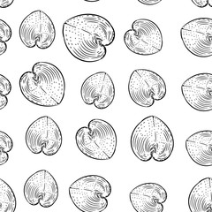 seamless pattern sea shells rare endangered species, Cardiidae bivalve molluscs Gastropoda Corculum cardissa or the heart cockle Indo-Pacific region. Sketch black contour on white background. Vector