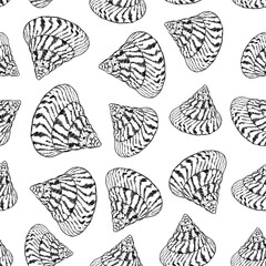 Summer concept with Unique museum sea shells sea snails. Sketch black contour isolated on white background. Can be used for fabrics, wallpapers. Vector