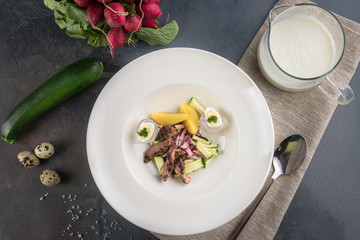 Russian cold soup Okroshka with beef, potatoes, tenderloin, cheese, radish, zucchini and quail eggs Grey background and napkin