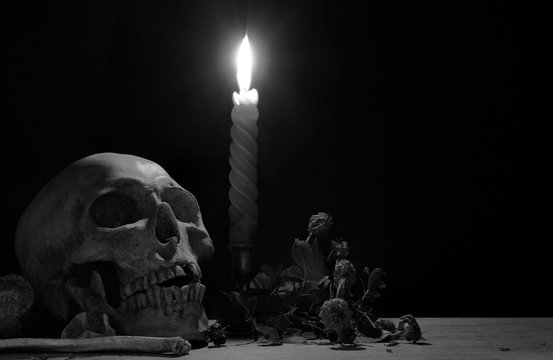 Skull and light from red spiral candle and dry bouquet flower on wooden plank in dim light room