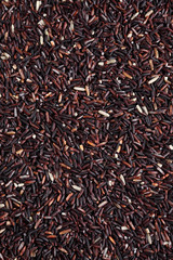 background from riceberry rice, Thai riceberry rice background