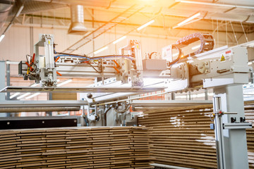 Production line of the wooden floor factory. CNC automatic woodworking machine.