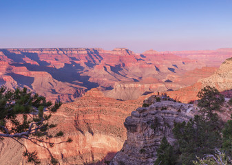 Looking pass the beautiful trees on the rim and into the depths of the glorious Grand Canyon at the south rim is inspirational thinking about the geology and years it has taken this scenic wonder to f