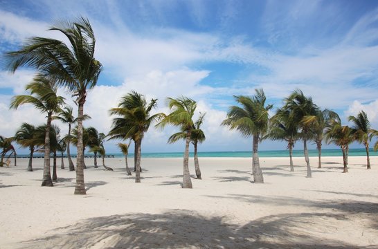 Isla Pasion
