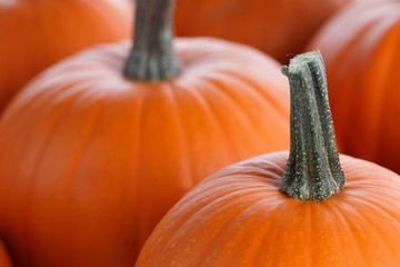 Many pumpkins background