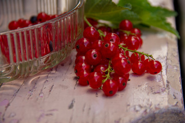 Bowl of freshly picked red currants and leaves on a pink bench