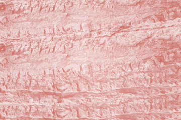 Abstract close up Pink vintage color trends wood pattern for background and other