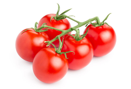 Branch of delicious fresh tomatoes, isolated on white background