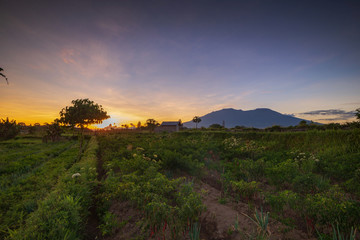Natural landscape Photos at Padang Sumbar Wonderful Indonesia