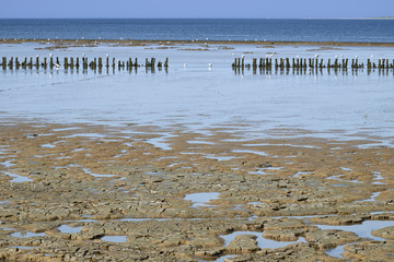 Ebbe im Wattenmeer, Ostfriesland