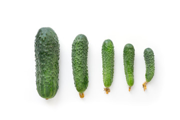 Fresh whole cucumbers different size. Healthy green vegan food concept. 