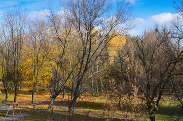 Fototapeta premium Late autumn in the yard