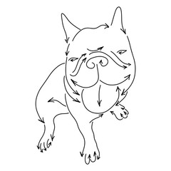 bulldog made from arrows vector illustration sketch doodle hand drawn with black lines isolated on white background