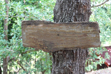 wooden sign in the forest
