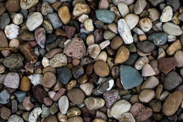 colored pebbles in the nature