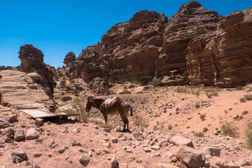 Petra, ancient city in Jordan