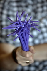 Bunch of violet plastic drinking straws in senior woman hand, close up, person in soft focus, concept of non-ecological lifestyle / habits