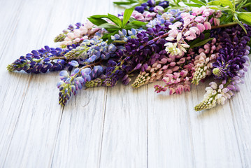 Pink and purple lupine flowers