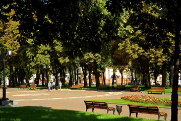 bench in the park