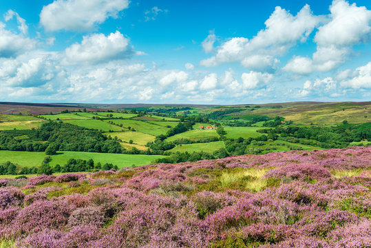 The view from Castleton in the North York Moors